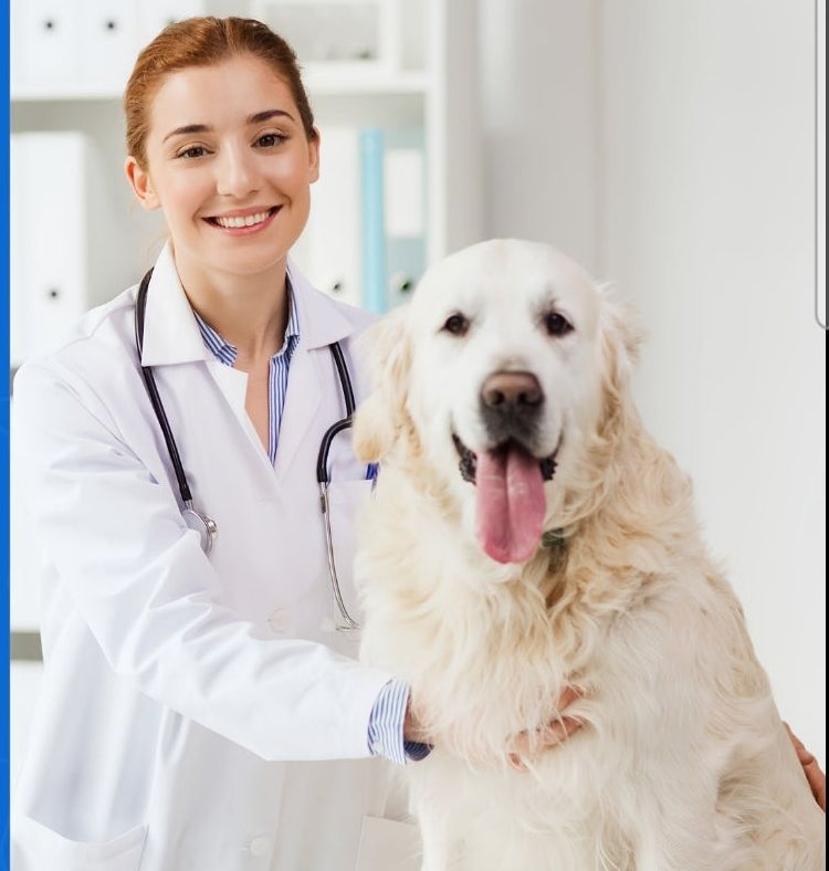 Pet Health