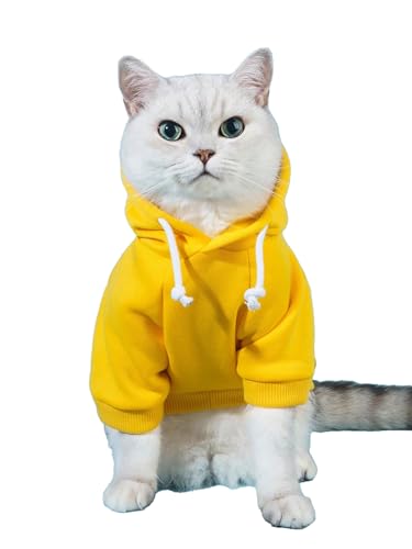 QWINEE Basic Dog Hoodie, Dog Warm Jacket, Cat Apparel, Dog Shirt, Dog Clothes for Puppy Kitten Small Medium Dogs Cats Cadet Blue M