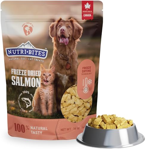 Nutri Bites Freeze Dried Salmon Dog & Cat Treats | Healthy Pet Training Treats or Food Topper | All Natural, 1 Single Animal Protein, High Protein | Premium Bulk Value Pack, 14 oz