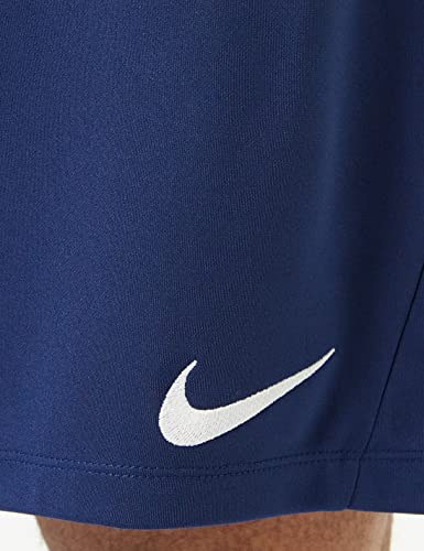 Nike mens Dry Park III Shorts