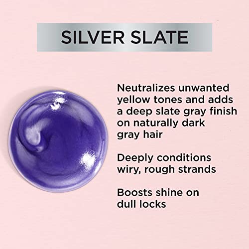 L'Oreal Paris Le Color Gloss One Step In-Shower Toning Hair Gloss, Neutralizes Brass, Conditions & Boosts Shine, Silver, 4 Ounce