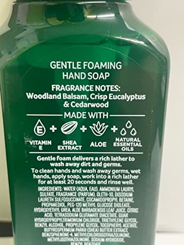 White Barn Eucalyptus Mint Gentle Foaming Hand Soap New Packaging