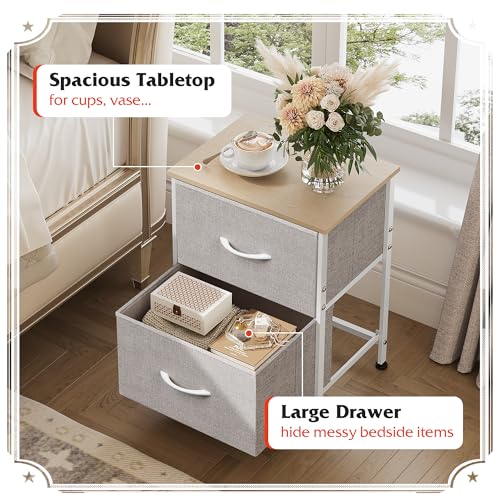 WLIVE Nightstand, 2 Drawer Dresser for Bedroom, Small Dresser with 2 Drawers, Bedside Furniture, Night Stand, End Table with Fabric Bins for Bedroom, Closet, Entryway, College Dorm, Dark Grey