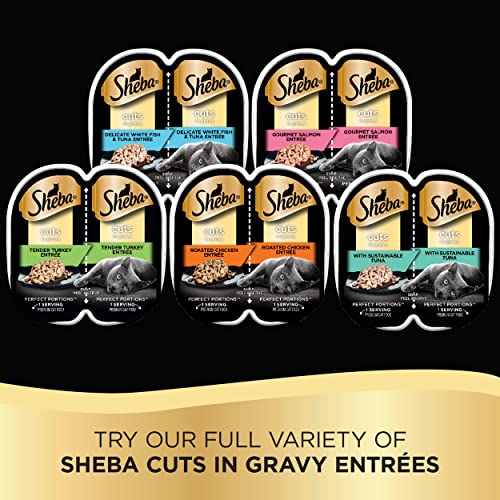 SHEBA Perfect Portions Cuts in Gravy Wet Cat Food Trays (24 Count, 48 Servings), Roasted Chicken, Gourmet Salmon and Tender Turkey Entrée Variety Pack, Easy Peel Twin-Pack Trays