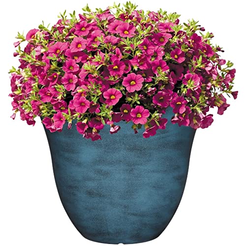 Classic Home and Garden Honeysuckle Resin Flower Pot Planter, Tequila Sunrise, 13"