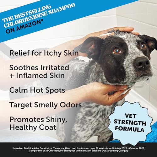 Pet Honesty Chlorhexidine Cat & Dog Anti-Itch Shampoo, for Allergies, Itching, Dog Skin and Coat Supplement, Helps Shedding, Hot Spots, Deodorizing Dog Shampoo, Dog Grooming Supplies,16oz