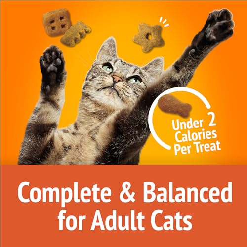 Purina Friskies Natural Cat Treats Party Mix Natural Yums With Real Salmon and Added Vitamins, Minerals and Nutrients - 20 oz. Canister