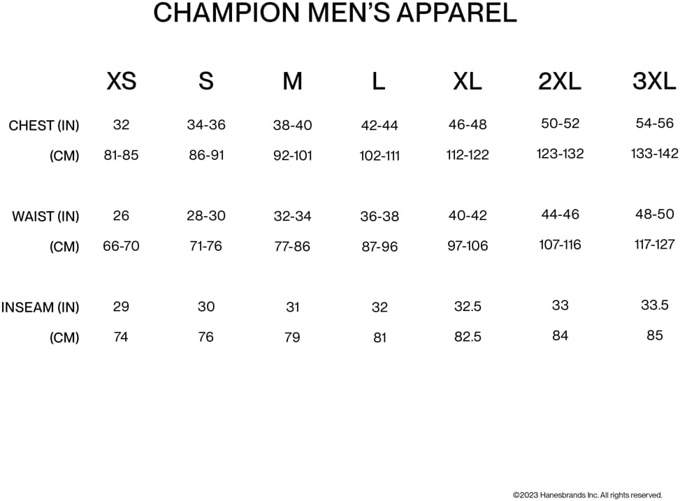 Champion Men's T-shirt, Classic Tee for Men, Men's T-shirt, Men's Tee (Reg. Or Big & Tall)