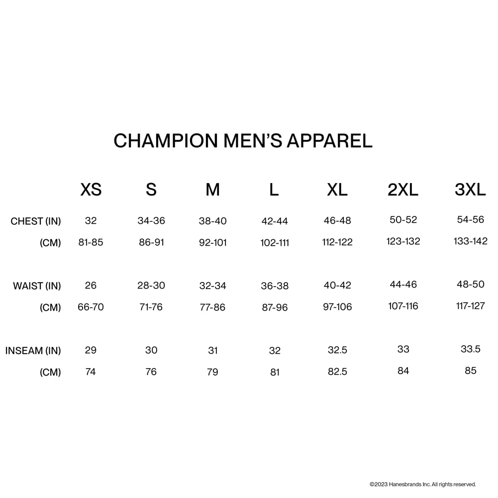 Champion Men's T-shirt, Classic Tee for Men, Men's T-shirt, Men's Tee (Reg. Or Big & Tall)