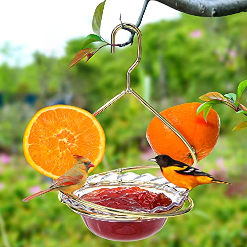 Hanizi Metal Hanging Oriole Bird Feeder with Fruit Holder Removable Drink Plasic for Garden Patio Outside