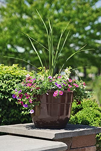 Garden Elements Glazed Brushed Happy Large Plastic Planter, 15" (1, Purple)