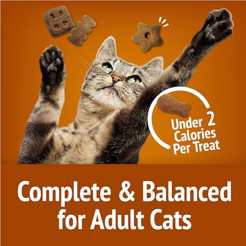 Purina Friskies Natural Cat Treats Party Mix Natural Yums With Real Salmon and Added Vitamins, Minerals and Nutrients - 20 oz. Canister