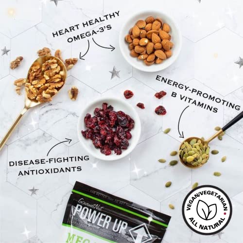 Power Up Premium Trail Mix - Mega Omega Trail Mix 14oz, Gluten Free, Vegan, Non-GMO