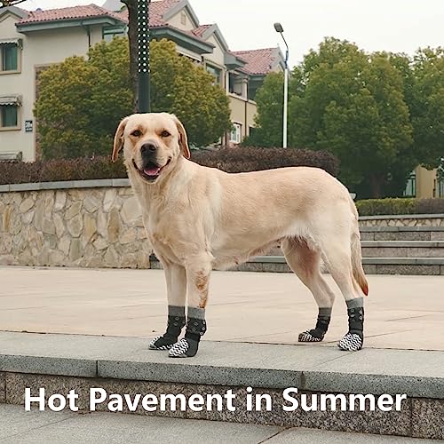 EXPAWLORER Double Side Anti-Slip Dog Socks - 3 Pairs Dog Grip Socks with Straps Traction Control, Pet Paw Protection for Small Medium Large Dogs Indoor Wear on Hardwood Floor