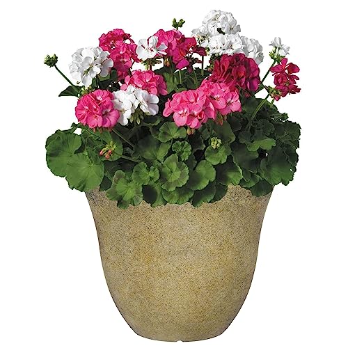 Classic Home and Garden Honeysuckle Resin Flower Pot Planter, Tequila Sunrise, 13"