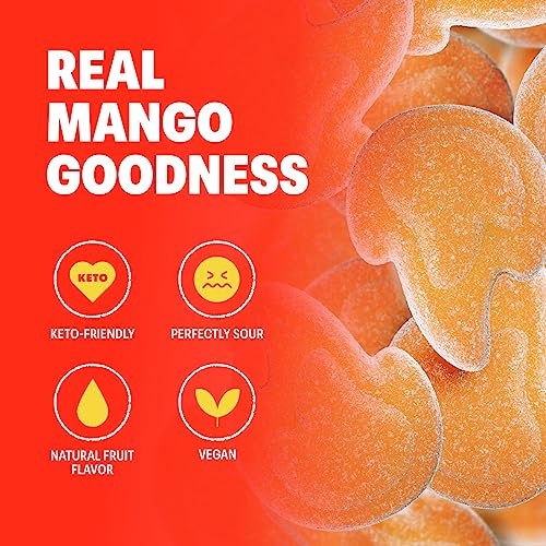 Shameless Snacks - Healthy Low Calorie Snacks, Low Carb Keto Gummies (Gluten Free Candy) - 6 Pack Super Variety Pack