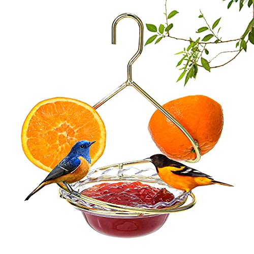 Hanizi Metal Hanging Oriole Bird Feeder with Fruit Holder Removable Drink Plasic for Garden Patio Outside