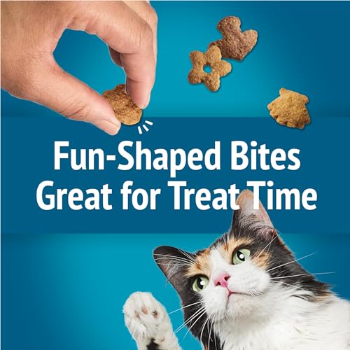 Purina Friskies Natural Cat Treats Party Mix Natural Yums With Real Salmon and Added Vitamins, Minerals and Nutrients - 20 oz. Canister