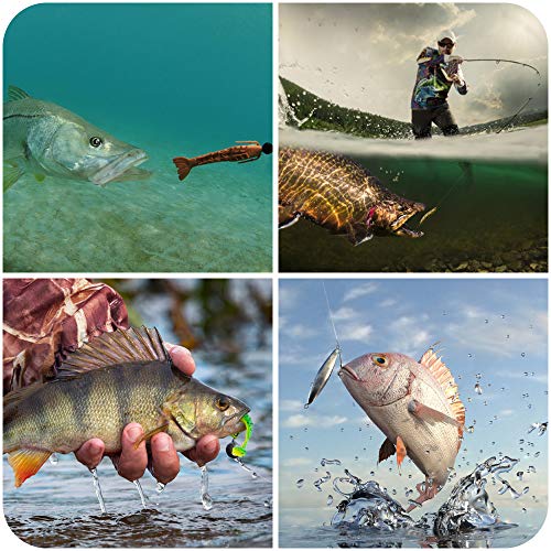 GOANDO Fishing Lures Kit for Freshwater Bait Tackle Kit for Bass Trout Salmon Fishing Accessories Tackle Box Including Spoon Lures Soft Plastic Worms Crankbait Jigs Fishing Hooks