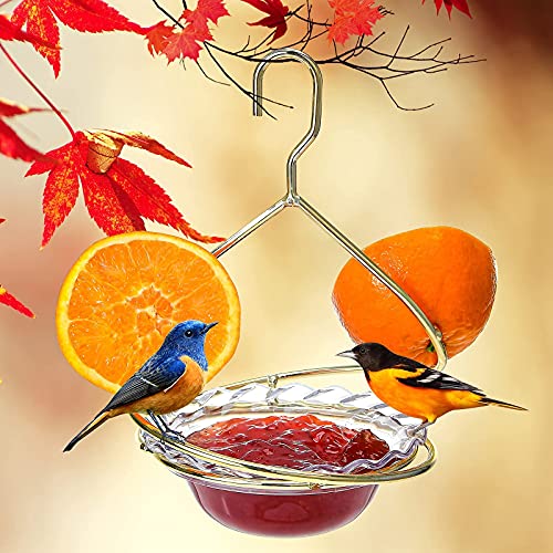 Hanizi Metal Hanging Oriole Bird Feeder with Fruit Holder Removable Drink Plasic for Garden Patio Outside