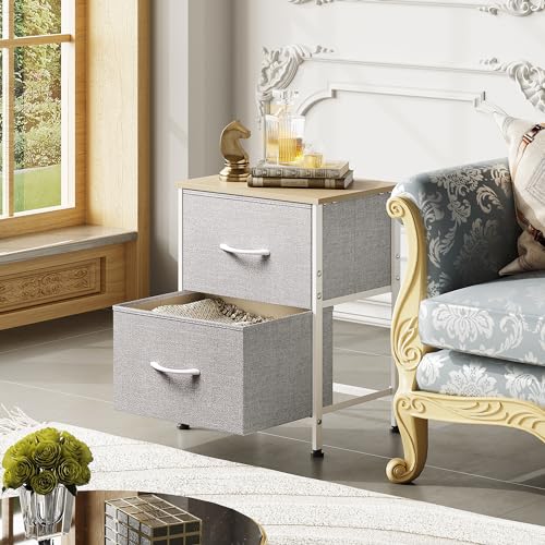 WLIVE Nightstand, 2 Drawer Dresser for Bedroom, Small Dresser with 2 Drawers, Bedside Furniture, Night Stand, End Table with Fabric Bins for Bedroom, Closet, Entryway, College Dorm, Dark Grey