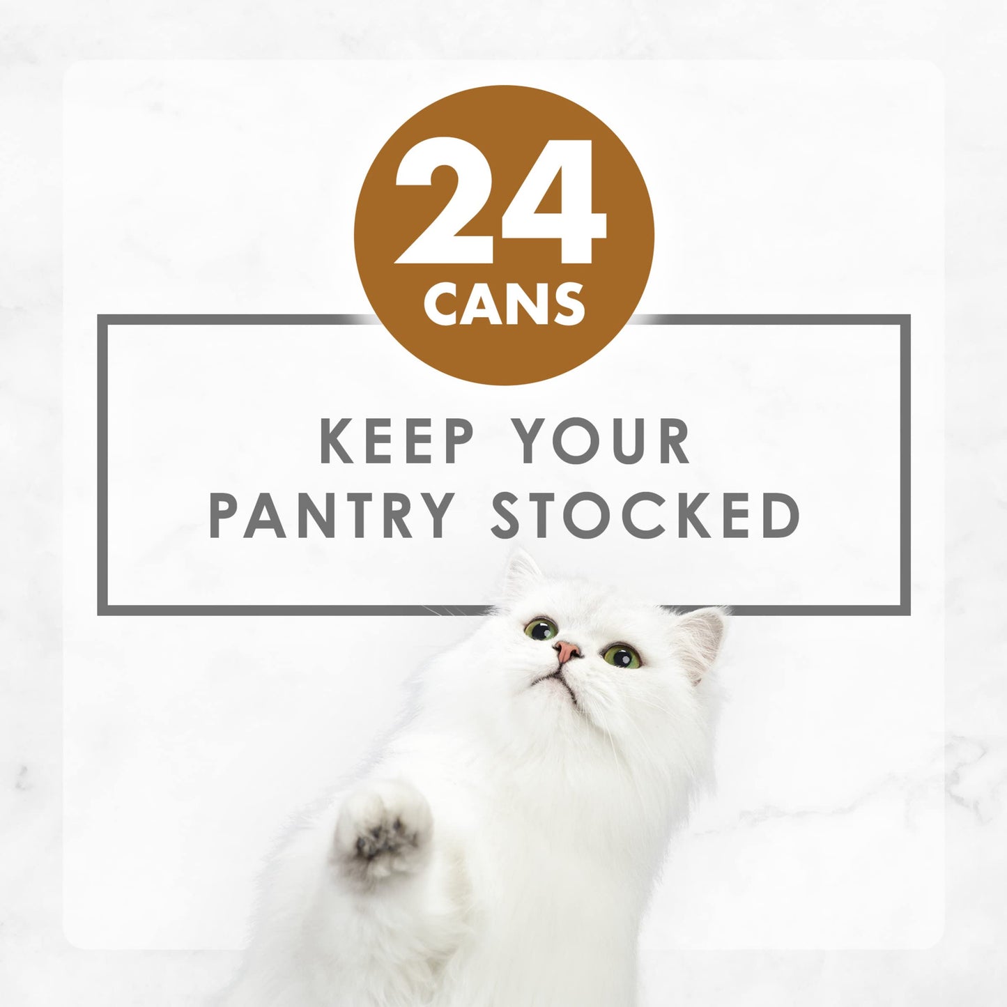 Purina Fancy Feast Gravy Lovers Poultry and Beef Gourmet Wet Cat Food Variety Pack - (Pack of 24) 3 oz. Cans