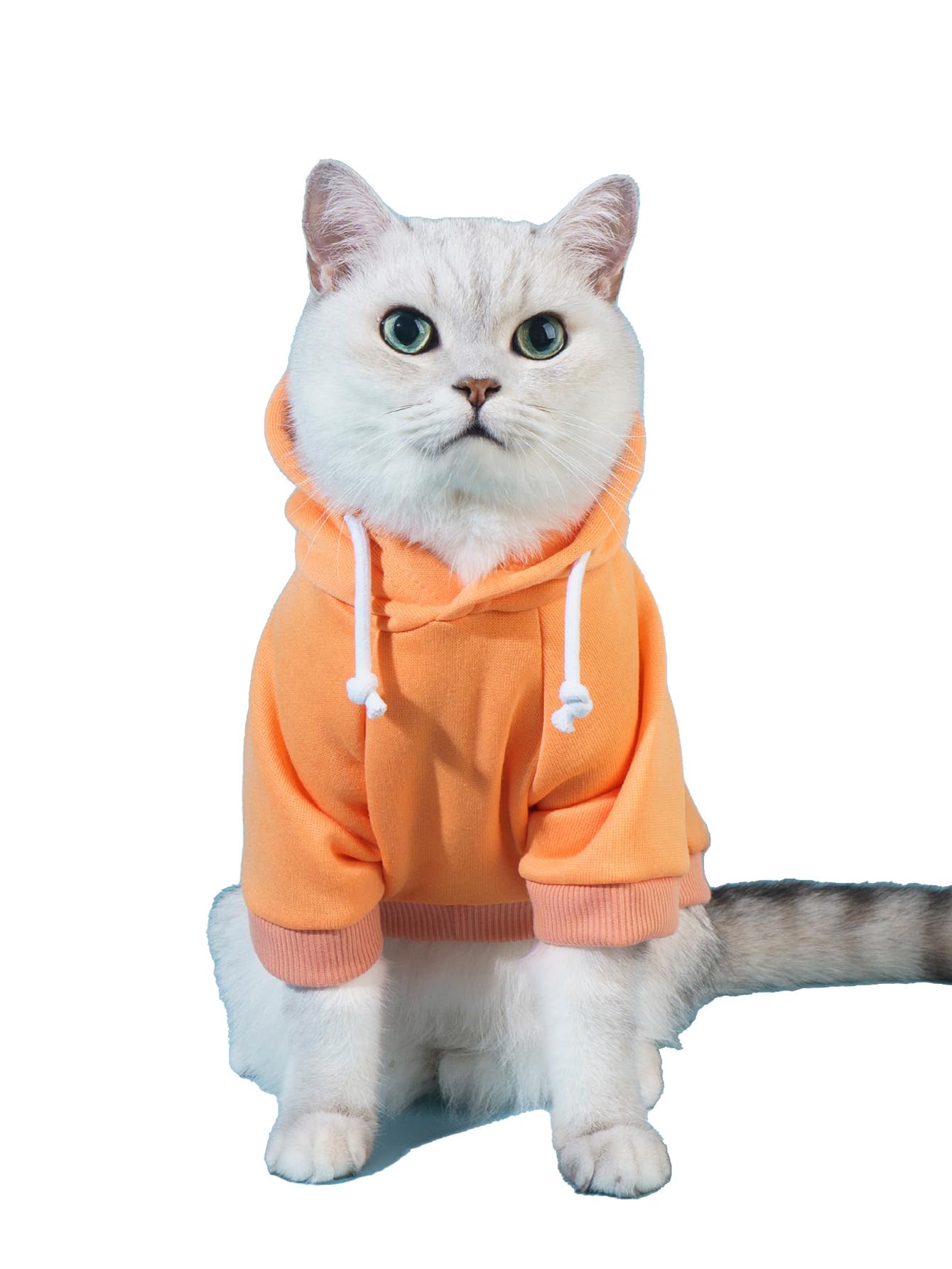 QWINEE Basic Dog Hoodie, Dog Warm Jacket, Cat Apparel, Dog Shirt, Dog Clothes for Puppy Kitten Small Medium Dogs Cats Cadet Blue M