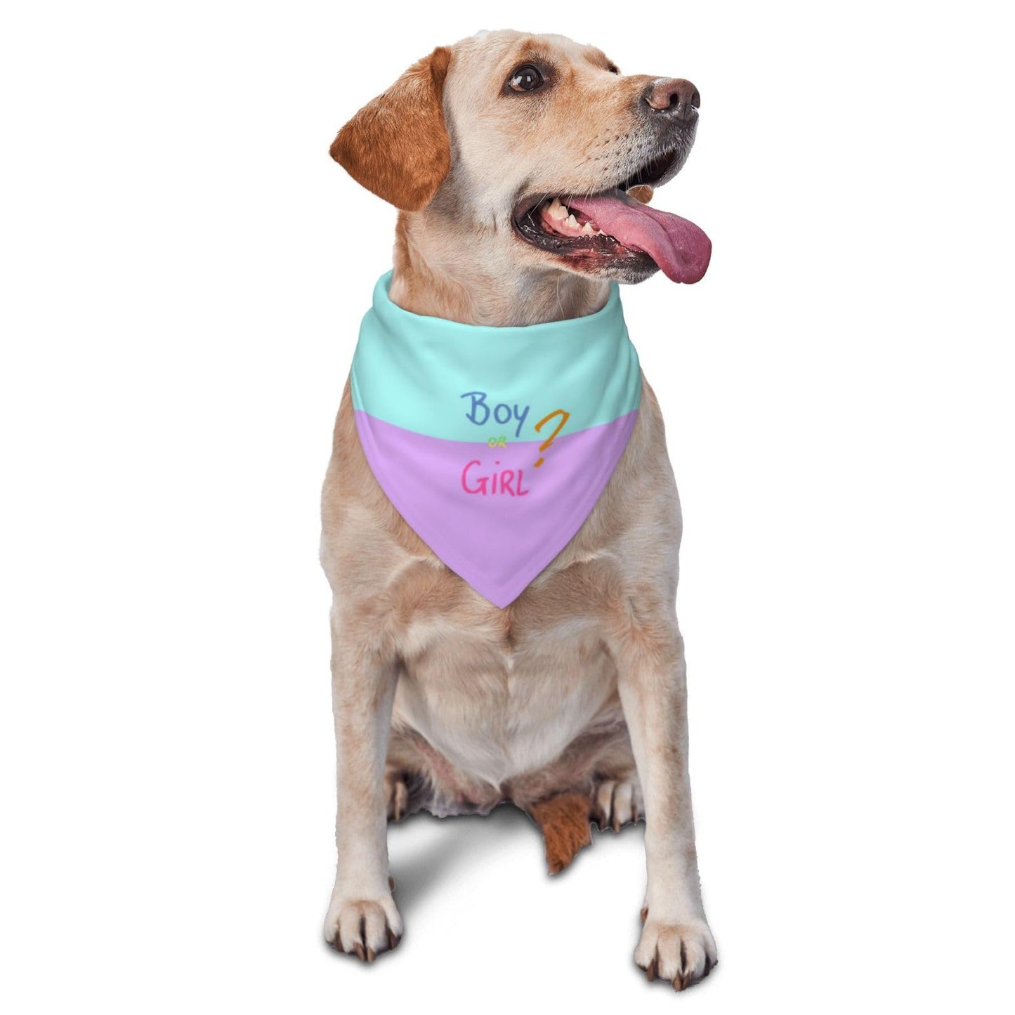 He Or She What Will It Be? Gender Reveal/Baby Announcement Dog Bandana,Pet Neckerchief for Pets Daily Wear Photo Prop Party Supplies (Blue)