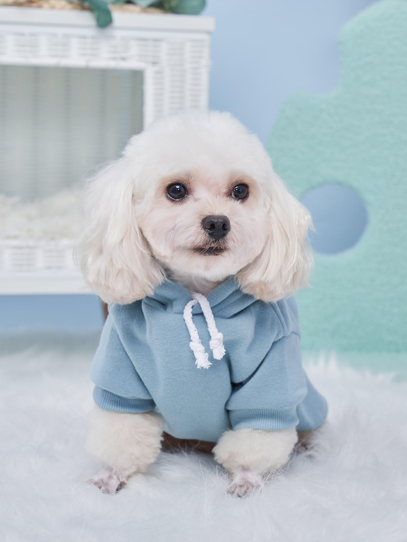 QWINEE Basic Dog Hoodie, Dog Warm Jacket, Cat Apparel, Dog Shirt, Dog Clothes for Puppy Kitten Small Medium Dogs Cats Cadet Blue M