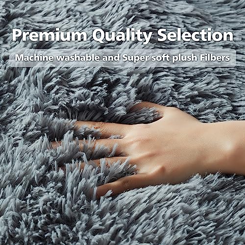 Ophanie Machine Washable Upgrade 4x6 Rugs for Bedroom, Grey, Fluffy Shaggy Soft Area Rug, Gray Non-Slip Indoor Floor Carpet for Living Room, Kids Baby Boys Teen Dorm Home Decor Aesthetic, Nursery