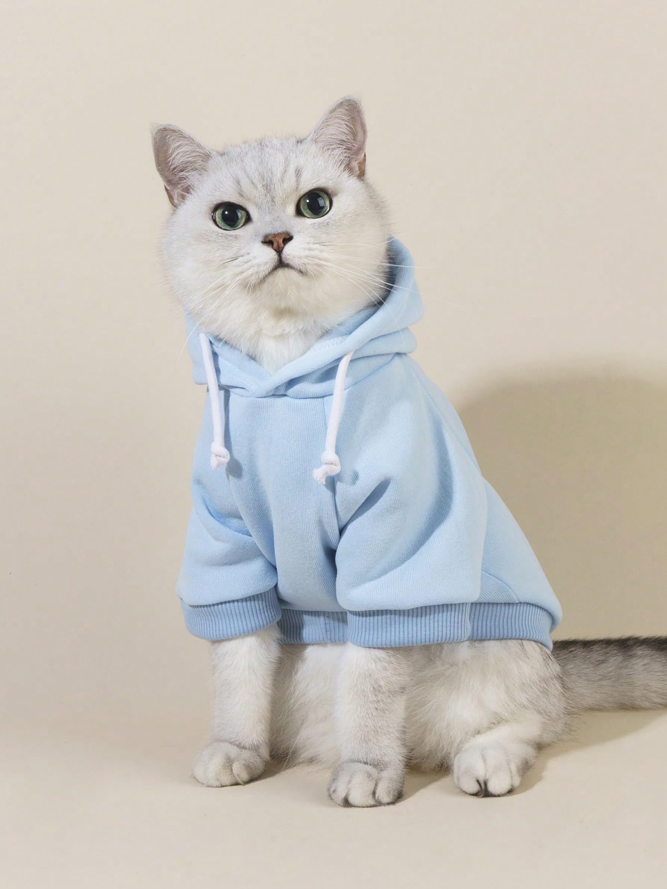 QWINEE Basic Dog Hoodie, Dog Warm Jacket, Cat Apparel, Dog Shirt, Dog Clothes for Puppy Kitten Small Medium Dogs Cats Cadet Blue M