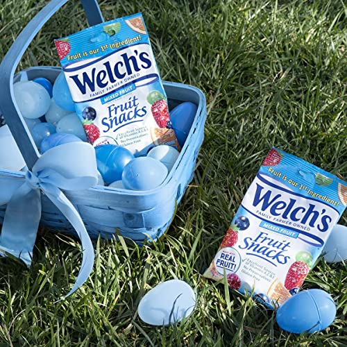 Welch's Fruit Snacks, Mixed Fruit, Perfect for School Lunches, Gluten Free, Bulk Pack, Individual Single Serve Bags, 0.8 oz (Pack of 40)