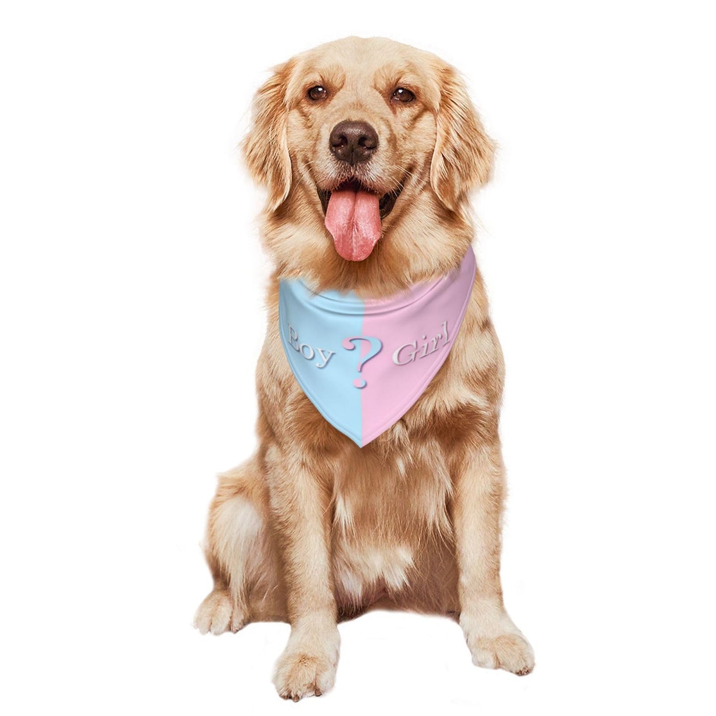 He Or She What Will It Be? Gender Reveal/Baby Announcement Dog Bandana,Pet Neckerchief for Pets Daily Wear Photo Prop Party Supplies (Blue)