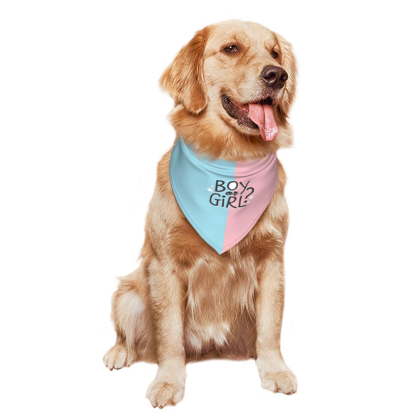 He Or She What Will It Be? Gender Reveal/Baby Announcement Dog Bandana,Pet Neckerchief for Pets Daily Wear Photo Prop Party Supplies (Blue)