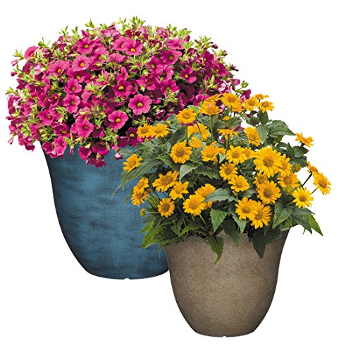 Classic Home and Garden Honeysuckle Resin Flower Pot Planter, Tequila Sunrise, 13"