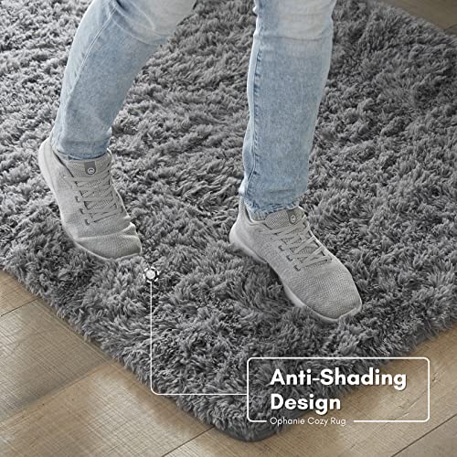 Ophanie Machine Washable Upgrade 4x6 Rugs for Bedroom, Grey, Fluffy Shaggy Soft Area Rug, Gray Non-Slip Indoor Floor Carpet for Living Room, Kids Baby Boys Teen Dorm Home Decor Aesthetic, Nursery