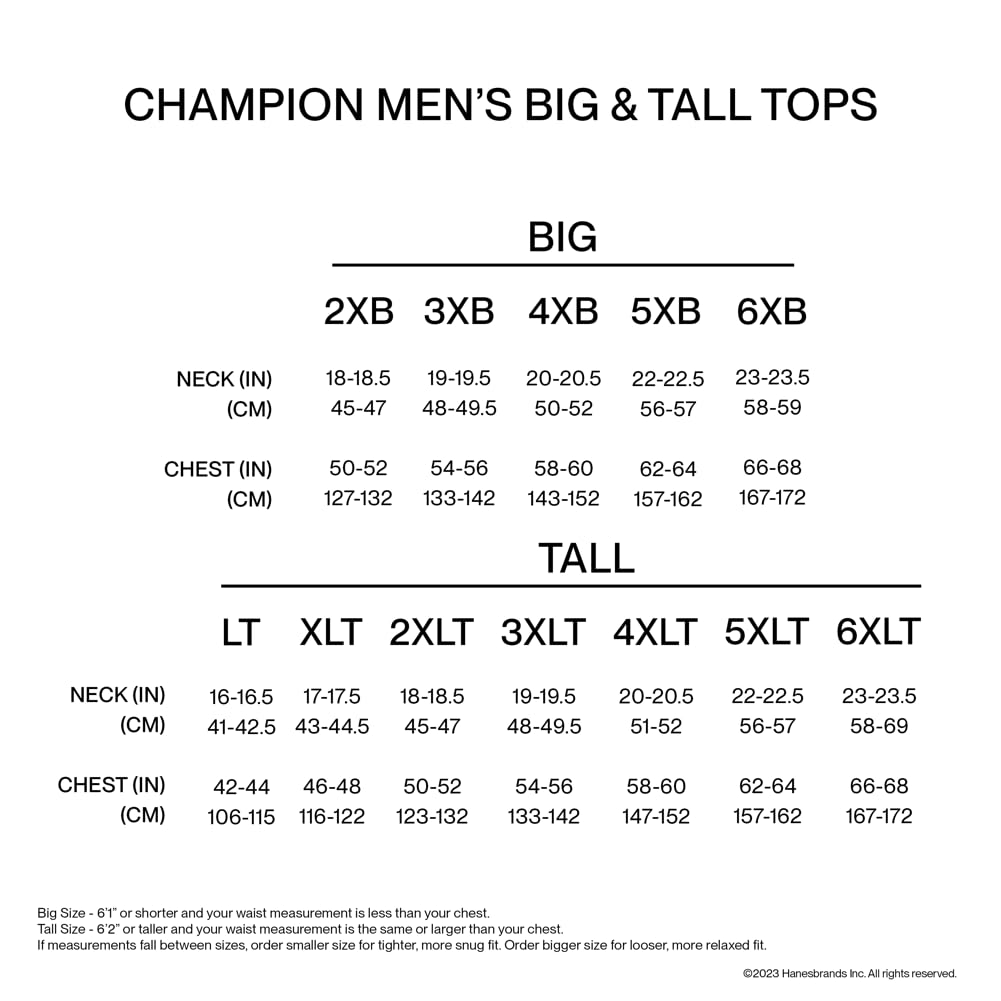 Champion Men's T-shirt, Classic Tee for Men, Men's T-shirt, Men's Tee (Reg. Or Big & Tall)