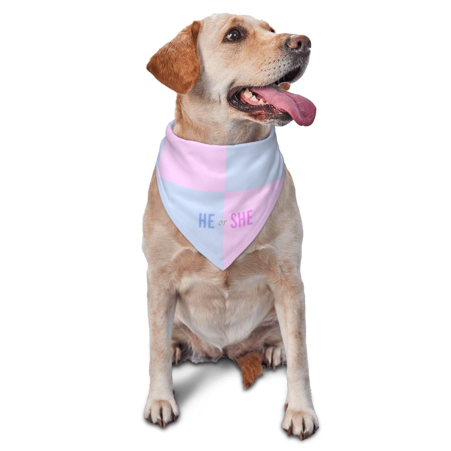 He Or She What Will It Be? Gender Reveal/Baby Announcement Dog Bandana,Pet Neckerchief for Pets Daily Wear Photo Prop Party Supplies (Blue)