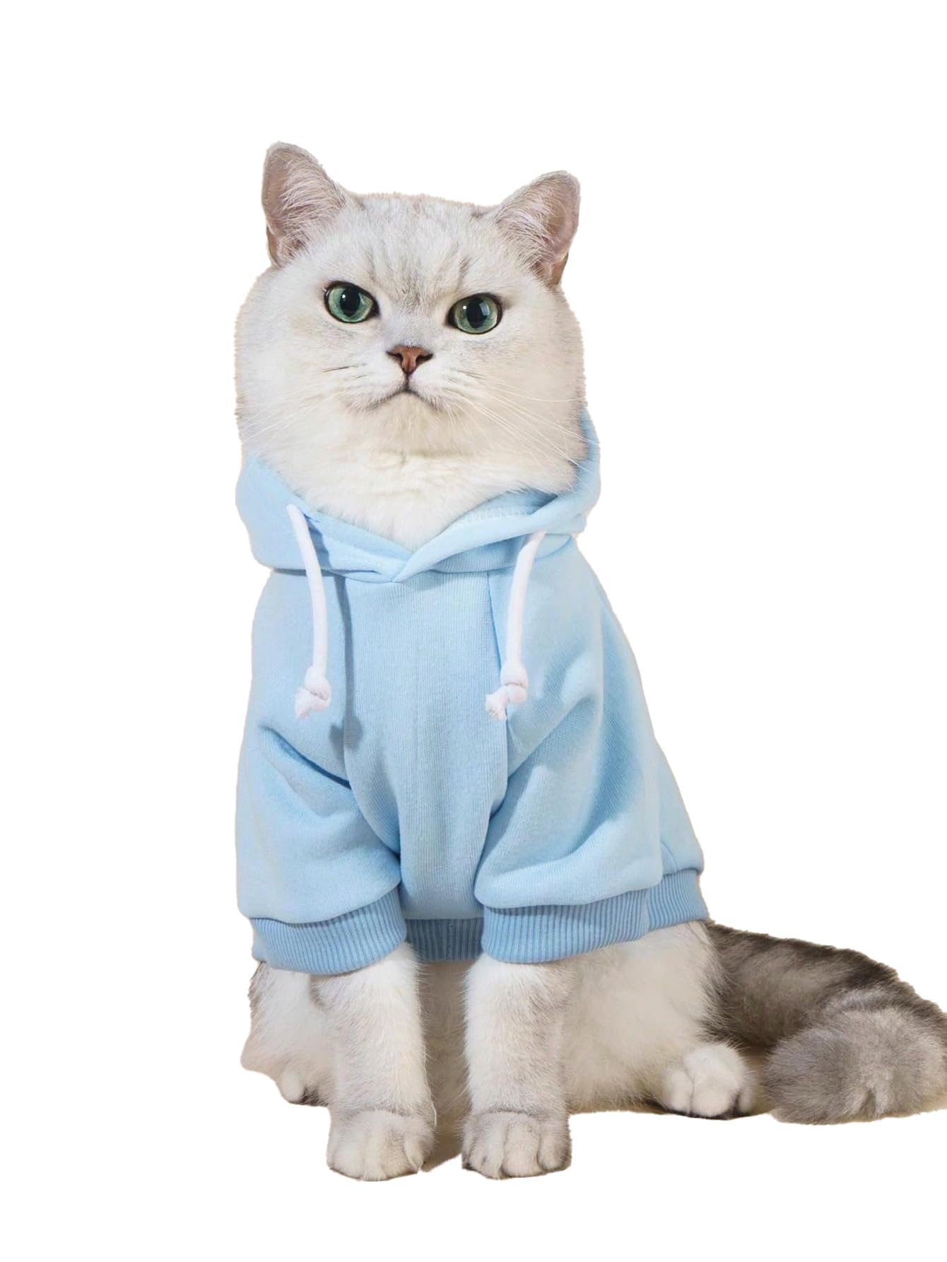 QWINEE Basic Dog Hoodie, Dog Warm Jacket, Cat Apparel, Dog Shirt, Dog Clothes for Puppy Kitten Small Medium Dogs Cats Cadet Blue M