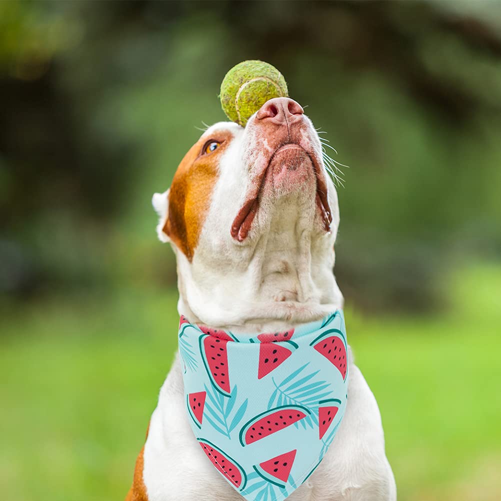 EXPAWLORER Dog Cooling Bandana Set - 4 Pack Hawaii Dog Bandana, Summer Triangle Scarfs Bibs with Cute Fruit Patterns for Small Medium Large Dogs, Large