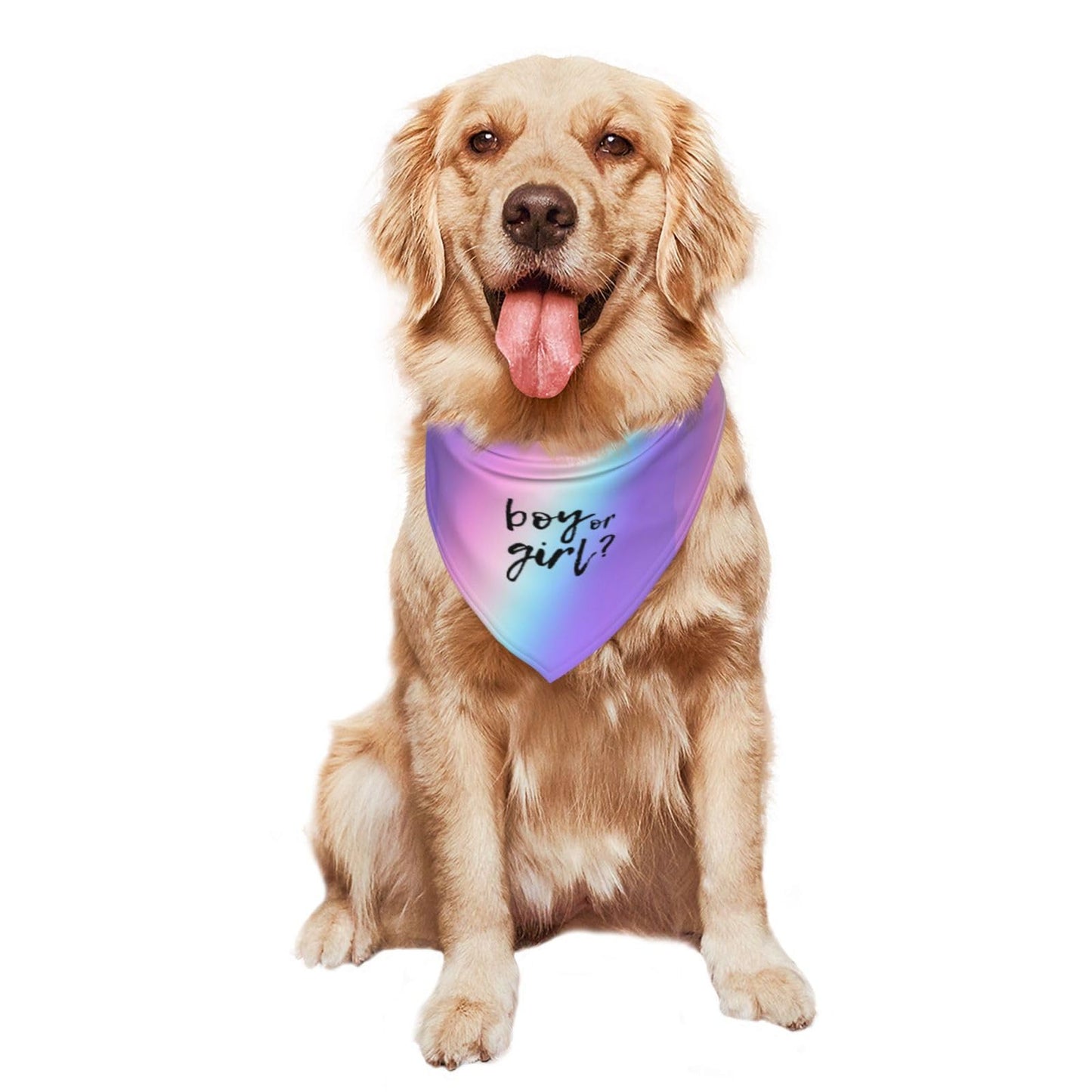 He Or She What Will It Be? Gender Reveal/Baby Announcement Dog Bandana,Pet Neckerchief for Pets Daily Wear Photo Prop Party Supplies (Blue)