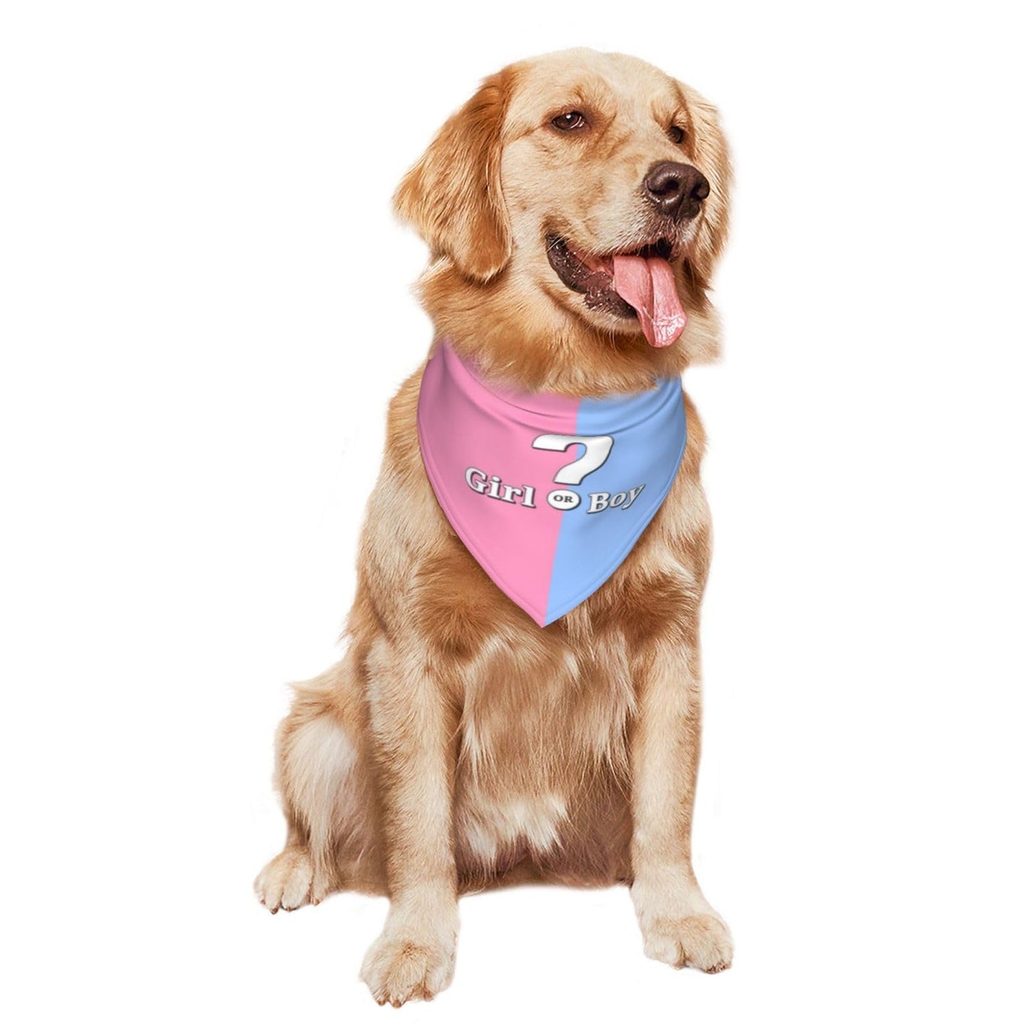 He Or She What Will It Be? Gender Reveal/Baby Announcement Dog Bandana,Pet Neckerchief for Pets Daily Wear Photo Prop Party Supplies (Blue)