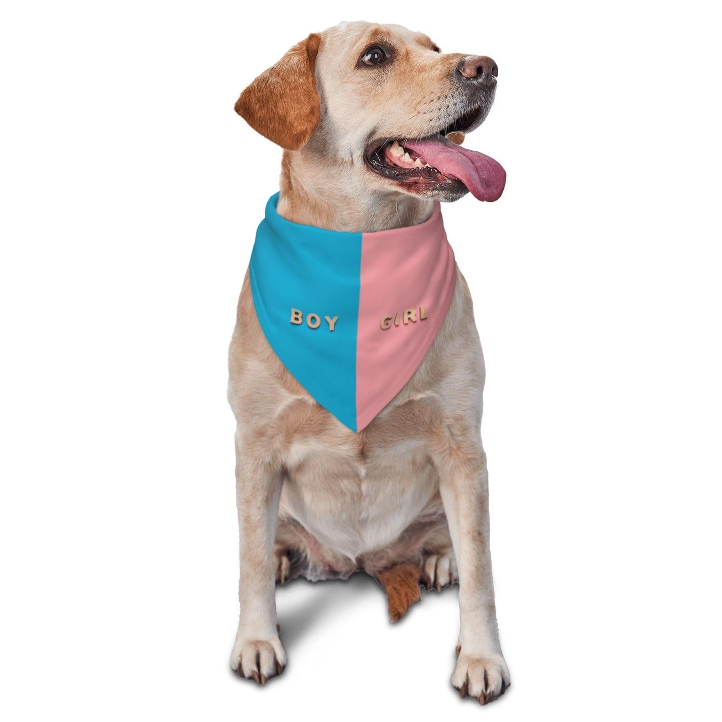 He Or She What Will It Be? Gender Reveal/Baby Announcement Dog Bandana,Pet Neckerchief for Pets Daily Wear Photo Prop Party Supplies (Blue)