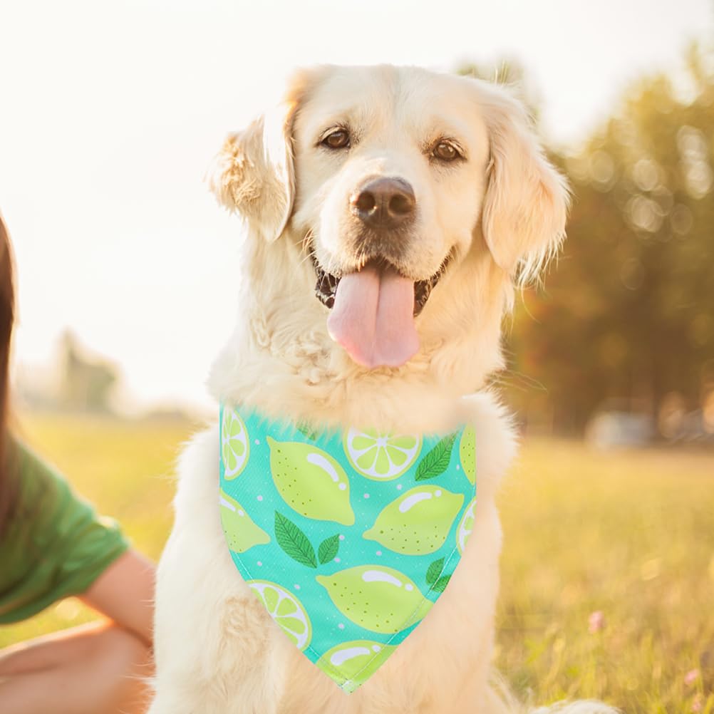 EXPAWLORER Dog Cooling Bandana Set - 4 Pack Hawaii Dog Bandana, Summer Triangle Scarfs Bibs with Cute Fruit Patterns for Small Medium Large Dogs, Large