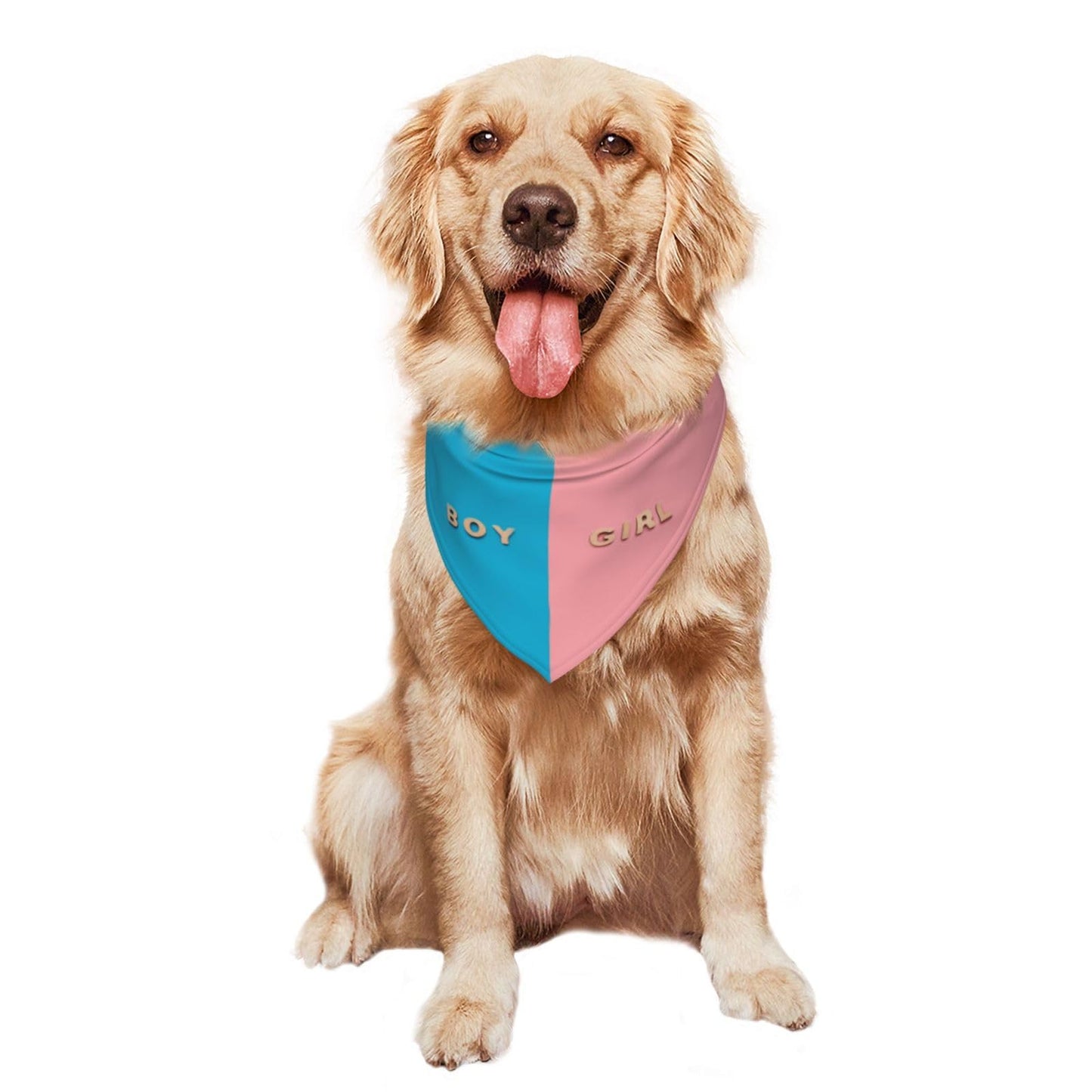 He Or She What Will It Be? Gender Reveal/Baby Announcement Dog Bandana,Pet Neckerchief for Pets Daily Wear Photo Prop Party Supplies (Blue)