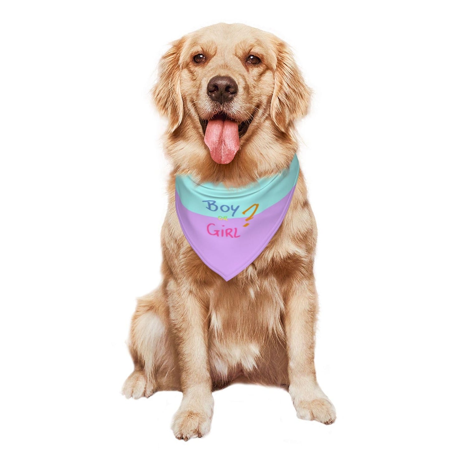 He Or She What Will It Be? Gender Reveal/Baby Announcement Dog Bandana,Pet Neckerchief for Pets Daily Wear Photo Prop Party Supplies (Blue)