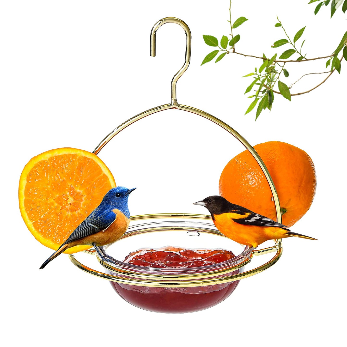 Hanizi Metal Hanging Oriole Bird Feeder with Fruit Holder Removable Drink Plasic for Garden Patio Outside