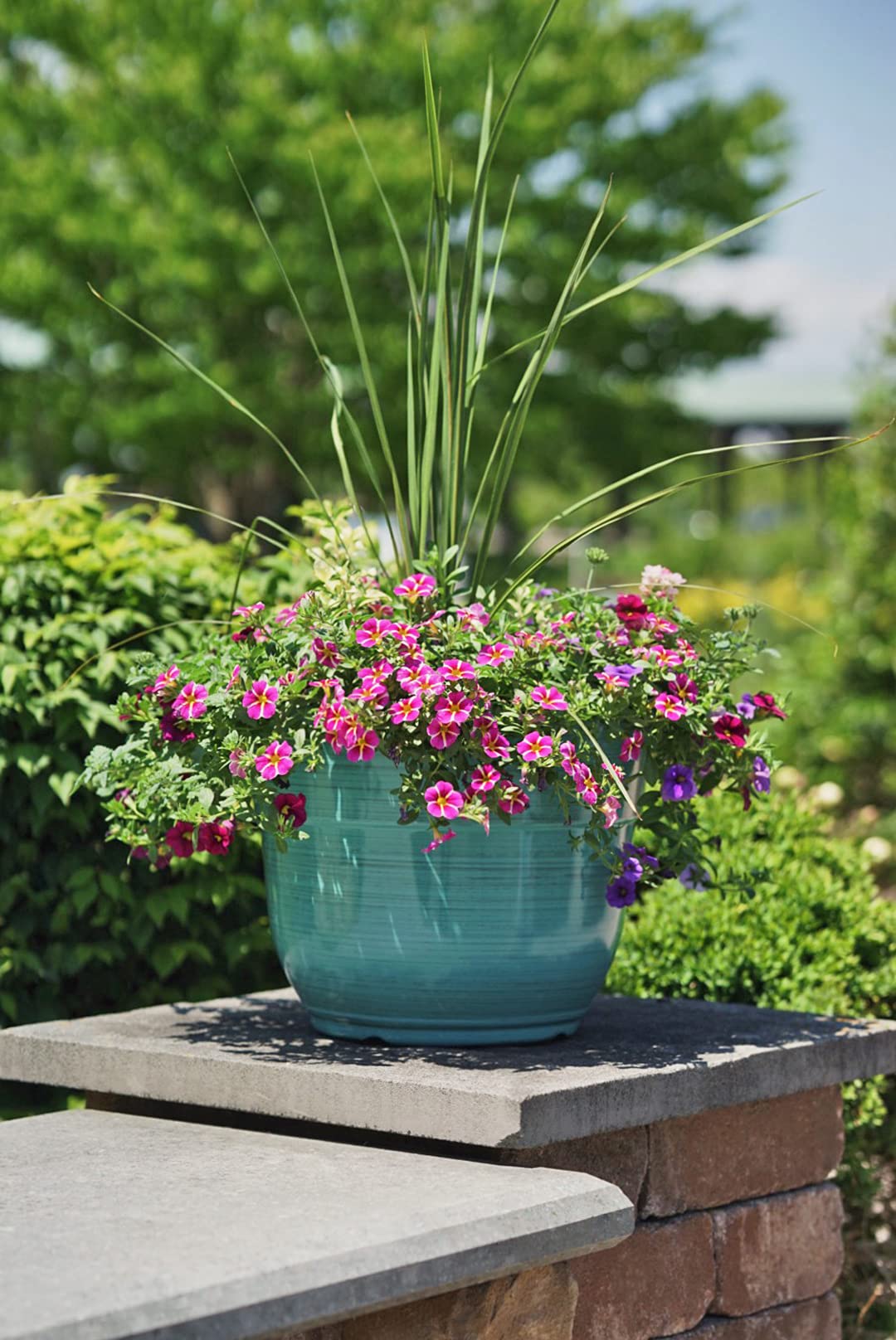 Garden Elements Glazed Brushed Happy Large Plastic Planter, 15" (1, Purple)