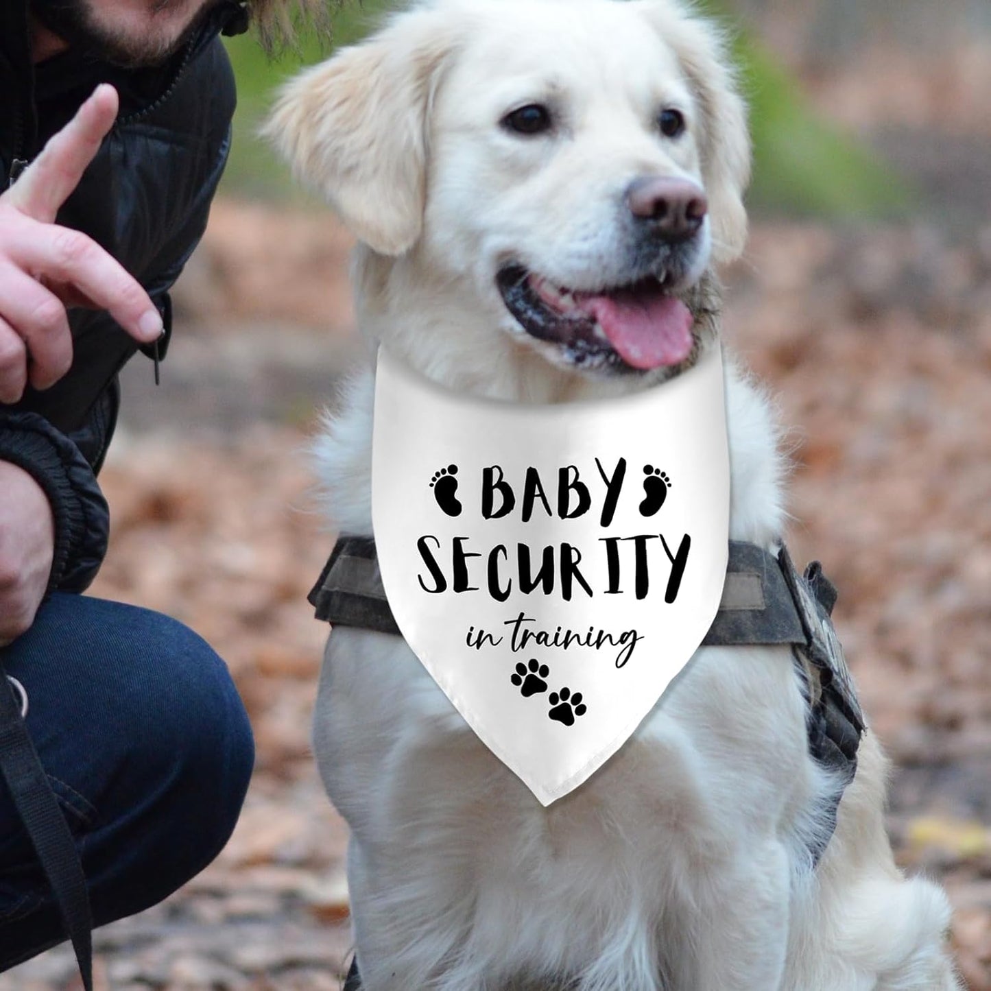 Baby Security in Training Printed Dog Bandana Pet Scarf Dog Pregnancy Announcement Bandana Pregnancy Dog Bandana for Dogs Pet Accessories for Dog Lovers Pregnancy Reveal Ideas