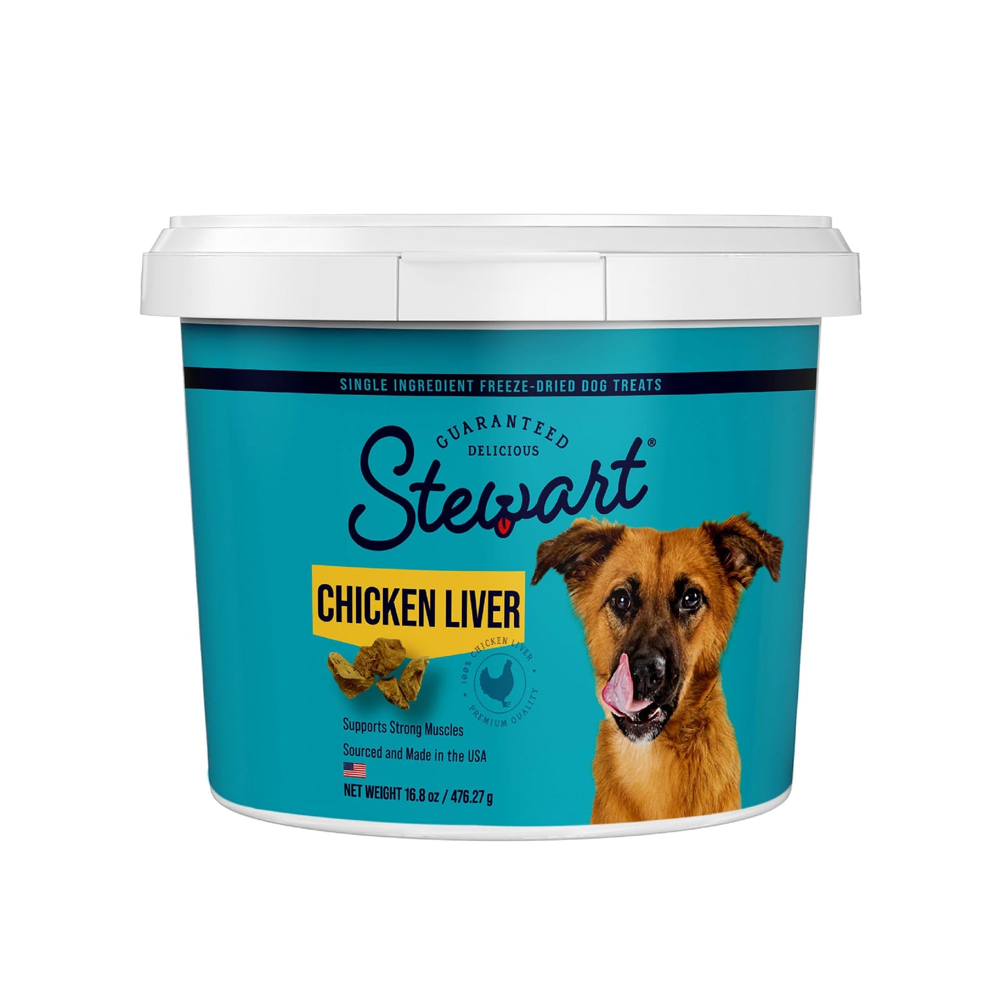 Stewart Freeze Dried Dog Treats, Wild Salmon, 2.75 oz Grain Free & Gluten Free, Resealable Tub, Single Ingredient, Training Treat in Beef Liver, Salmon, Chicken Liver & Chicken Breast 4, 14, 21 oz